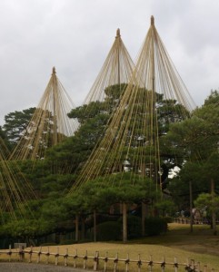 IMG_20131209_101051