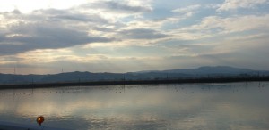IMG_20131209_101454