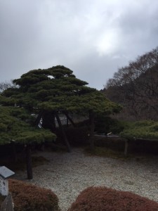 image6