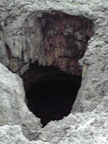 t02200293_0240032012392388511