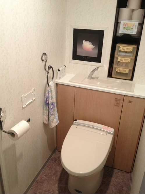 エレガントなマンション対応収納一体型トイレ　ピタ　